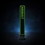 ASSAULT