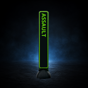 ASSAULT